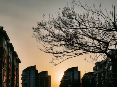 كازينو كريز بلاي تطبيق الهاتف المحمول